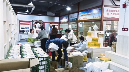 廣東南雄 培育壯大農村電商經營主體，激活鄉村振興新動能